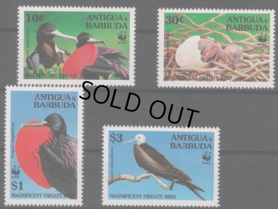 画像1: アンティグア・バーブーダ切手 　1994年　WWF 　鳥　4種