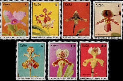 画像1: キューバ切手 1971年　花　蘭　7種