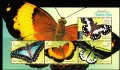 オーストラリア切手　2016年　美しい蝶　昆虫　4種