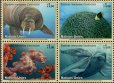 画像3: 国連切手 2008年　絶滅危惧種　コククジラ　12種 (3)