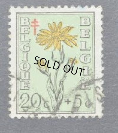 画像2: ベルギー切手　1949年　花　赤十字　付加金付き　