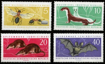 画像1: 東ドイツ切手　DDR　1962年　動物　トガリネズミ　イイズナ　コウモリ　蜂　4種