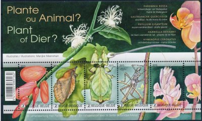画像2: ベルギー切手　2015年　昆虫　擬態虫　オオコノハムシ　5種