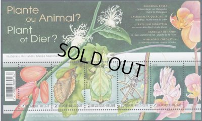 画像2: ベルギー切手　2015年　昆虫　擬態虫　オオコノハムシ　5種