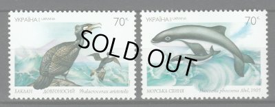 画像1: ウクライナ切手　2002年　ネズミイルカ ヨーロッパヒメウ　2種