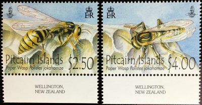 画像1: イギリス ピトケアン諸島切手 　2011年　昆虫　ハチ　2種