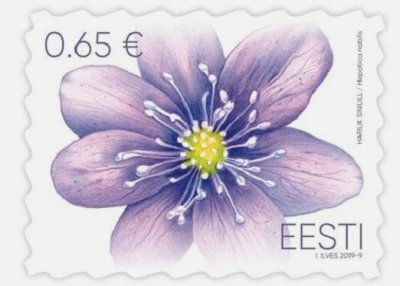 画像1: エストニア切手　2019年 　花　1種