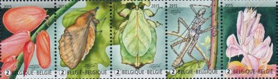 画像1: ベルギー切手　2015年　昆虫　擬態虫　オオコノハムシ　5種