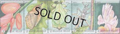 画像1: ベルギー切手　2015年　昆虫　擬態虫　オオコノハムシ　5種