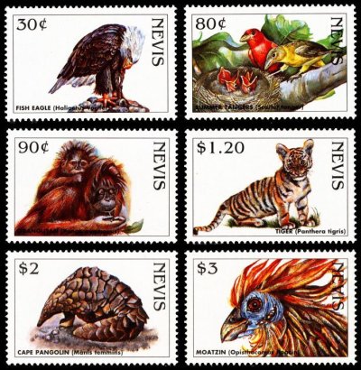 画像1: ネイビス切手 　1988年　絶滅危惧種　鳥　ナツフウキンチョウ　6種 