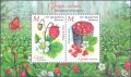 ベラルーシ切手　2025年　花　ベリー　蝶　2種