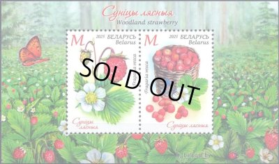 画像1: ベラルーシ切手　2025年　花　ベリー　蝶　2種