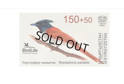 画像1: キルギス切手　2025年　鳥　カワリサンコウチョウ　1種