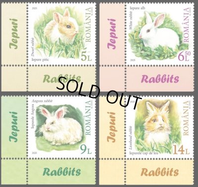 画像1: ルーマニア切手　2025年　動物　ウサギ　4種