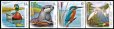 画像2: ルーマニア切手　2025年　ドナウデルタ生物圏保護区　鳥　カワセミ　4種 (2)
