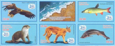 画像1: タジキスタン切手　2023年　アラル海を救おう　イヌワシ　鳥　動物　5種