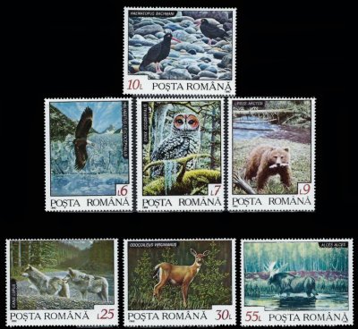 画像1: ルーマニア切手 　1992年　北部地域の動物相　ニシアメリカフクロウ　鳥　7種