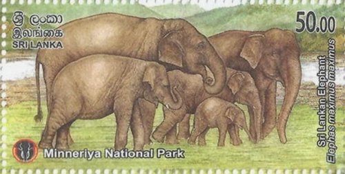 他の写真1: スリランカ切手　2025年　ミンネリヤ国立公園　動物　鳥　10種