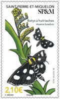 サンピエール島・ミクロン島切手　2025年　昆虫　1種