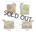 ナミビア切手　2025年　鳥　4種