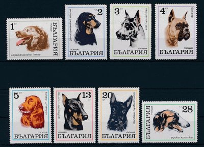 画像1: ブルガリア切手　1970年　犬　8種