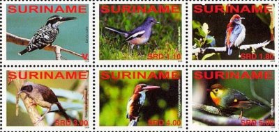 画像1: スリナム切手　2008年　鳥　ヒメヤマセミ　6種
