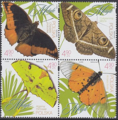 画像1: ポーランド切手　2025年　ポーランドの蝶　4種