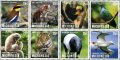 ミクロネシア切手　2013年　タイ世界切手展　野生動物　鳥　8種