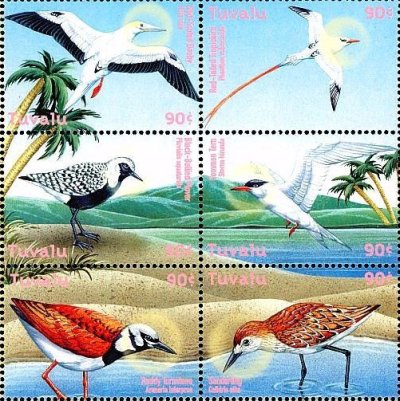画像1: ツバル切手　2000年　鳥　アカアシカツオドリ　6種