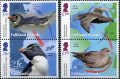 フォークランド諸島切手　2018年　鳥　イワトビペンギン　4種