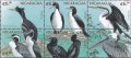 ニカラグア切手　1999年　世界の海鳥　カッショクペリカン　6種