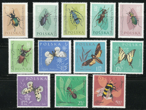 ポーランド切手 1961年 昆虫 蝶 12種 他入荷しました!