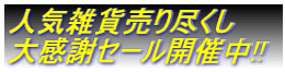 人気雑貨売り尽くし  大感謝セール開催中!!