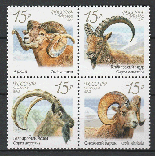 ロシア切手 2013年 動物 シベリアビッグホーン パサン カフカスアイベックス アルガリ 4種 田型 - すてきな郵便屋さんciel