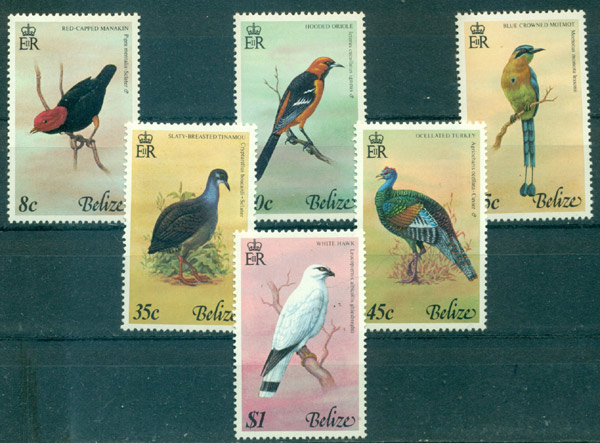 ベリーズ切手　1977年　鳥　ヒョウモンシチメンチョウ　キモモマイコドリ　6種