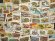 画像2: 世界の爬虫類 切手セット50 (2)