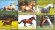 画像2: コンゴ共和国切手　　2012年　馬　小型シート　コレクション (2)