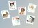 画像6: フィンランド切手 2012年 動物の赤ちゃん　ネコ　うさぎ　犬　6種  【切手帳】 (6)
