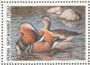 画像1: ロシア　旧ソ連切手　1989年　 鳥　カモ　1種 (1)