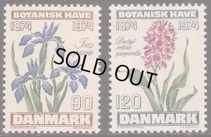 画像1: デンマーク切手 1973年  花　バラ　2種 (1)