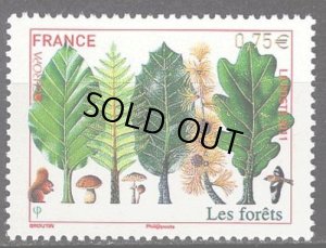 画像1: フランス切手 2011年 ヨーロッパ 森林　国際年　1種 (1)