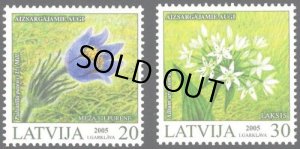 画像1: ラトビア切手　2005年　花　2種 (1)