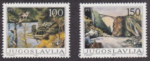 画像1: ユーゴスラビア切手　1986年　ドゥルミトル国立公園のタラ渓谷 自然保護 2種　 (1)