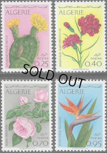 画像1: アルジェリア切手 1969年 ウチワサボテン 花　バラ　カーネーション ゴクラクチョウカ 4種 (1)