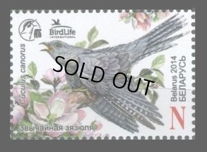 画像1: ベラルーシ切手　2014年　鳥　カッコウ　1種 (1)