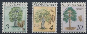 画像1: スロバキア切手　1993年　環境保全　木　3種 (1)