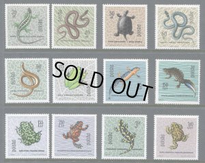 画像1: ポーランド切手 1963年　保護された爬虫類と両生類　ヨーロッパスズガエル　ヨーロッパアマガエル 　ヨーロッパナメラ 12種 (1)