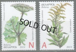 画像1: ベラルーシ切手　2014年　植物　セイタカアワダチソウ　ソスノウスキーズ・ホグウィード　2種 (1)