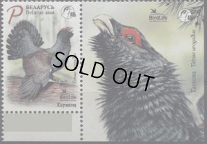 画像2: ベラルーシ切手　2020年　鳥　ヨーロッパオオライチョウ　1種 (2)