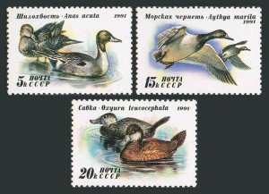 画像1: ロシア　旧ソ連切手 1991年 鳥　カモ　アヒル　3種 (1)